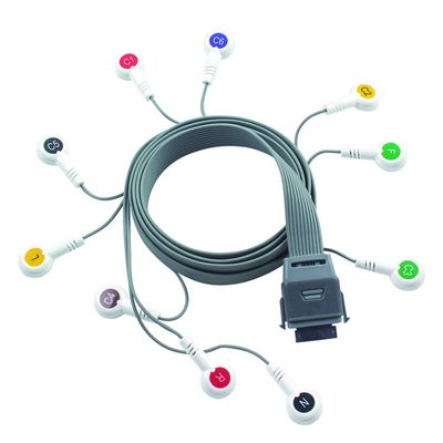 Grey 10 Lead ECG Holter Kabel Kompatibel untuk Edan Biomedis Instrumen IEC Snap