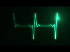 pengenalan perusahaan